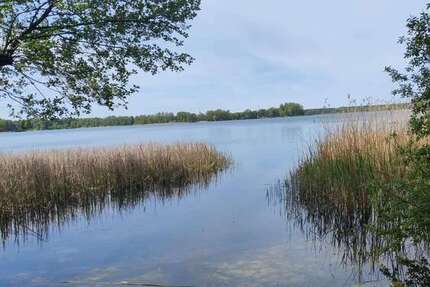 Grundstück Wandlitz - 350.000&euro; | Angebot:24821923