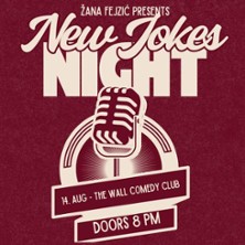 New Jokes Night: Multimedia Comedy Show