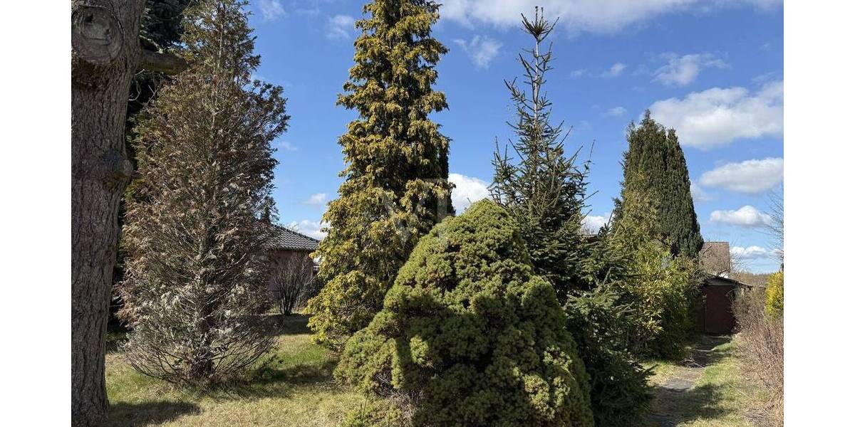 Grundstück Berlin-Pankow Buch - 155.000&euro; | Angebot:26220533