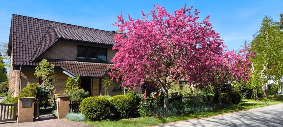 Einfamilienhaus Wandlitz - 3 Zimmer, 195 m&sup2;, 850.000&euro; | Angebot:26597830