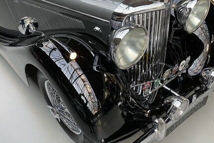 Jaguar Andere