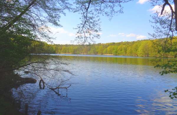 Einfamilienhaus Berlin Steglitz-Zehlendorf - 8 Zimmer, 366 m&sup2;, 2.500.000&euro; | Angebot:26239111