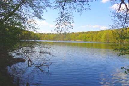 Haus Berlin Steglitz-Zehlendorf - 8 Zimmer, 366 m&sup2;, 2.500.000&euro; | Angebot:26239111