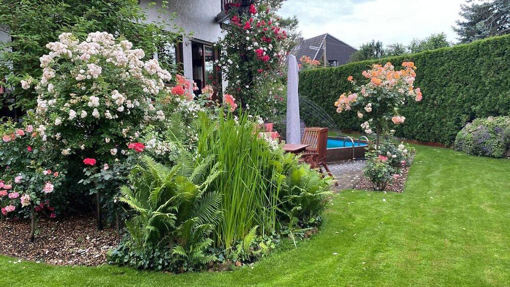 Einfamilienhaus Berlin Rudow - 3 Zimmer, 117 m&sup2;, 649.000&euro; | Angebot:26657233