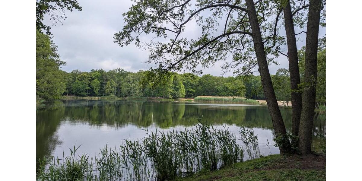 Dachgeschoßwohnung Berlin Charlottenburg-Wilmersdorf - 4 Zimmer, 110 m&sup2;, 550.000&euro; | Angebot:24603736