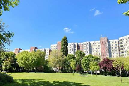 Wohnung Berlin Hellersdorf - 4 Zimmer, 80 m&sup2;, 249.000&euro; | Angebot:27303749