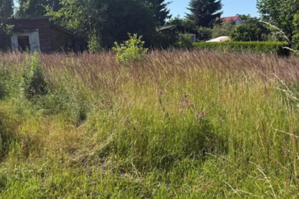 Grundstück Ahrensfelde - 300.000&euro; | Angebot:27052003