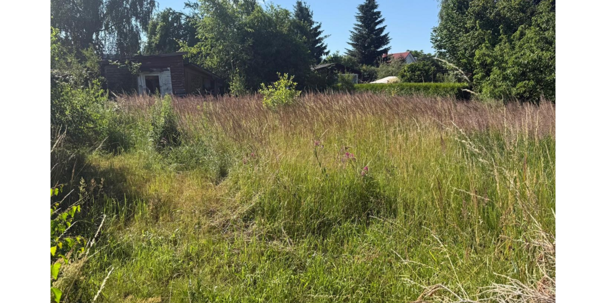 Grundstück Ahrensfelde - 300.000&euro; | Angebot:27052003
