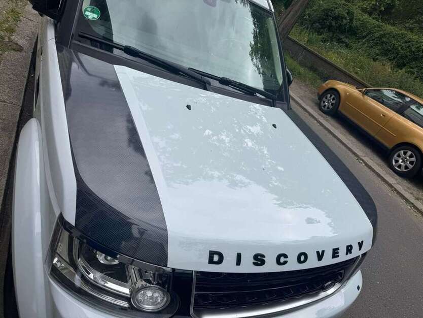 Discovery