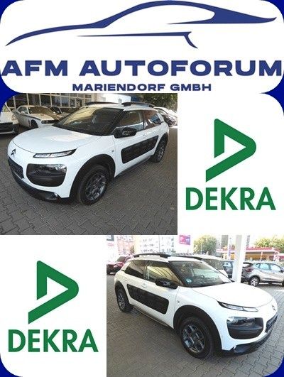 C4 Cactus