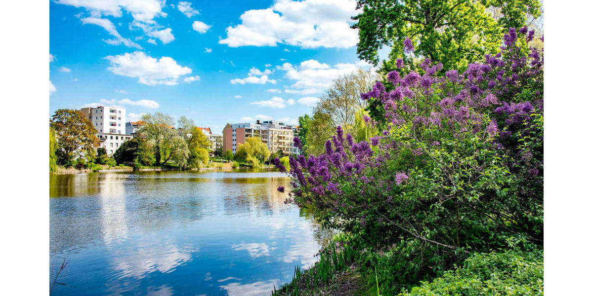 Einfamilienhaus Berlin Wilmersdorf - 4 Zimmer, 450.000&euro; | Angebot:25990783