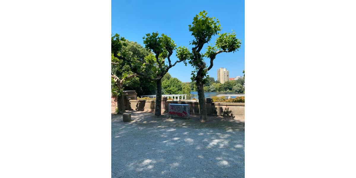 Dachgeschoßwohnung Berlin Steglitz-Zehlendorf - 2 Zimmer, 65 m&sup2;, 1.400&euro; | Angebot:25612063