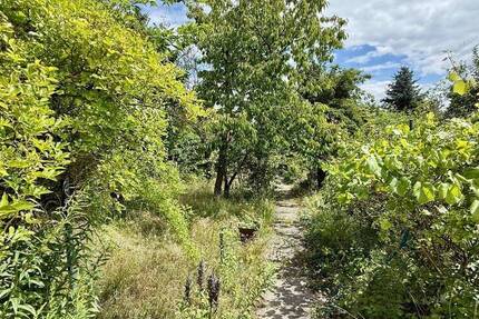 Teilungsgrundstück in Bohnsdorf: vorderer Grundstücksteil zimmer