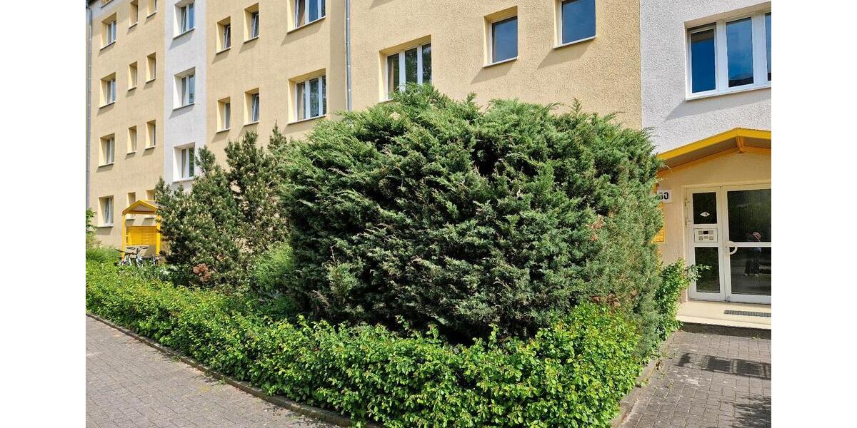 Hochparterre Berlin Neukölln - 2 Zimmer, 48 m&sup2;, 850&euro; | Angebot:26693554