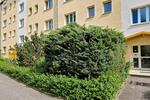 Hochparterre Berlin Neukölln - 2 Zimmer, 48 m&sup2;, 850&euro; | Angebot:26693554