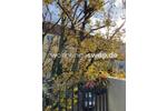 Etagenwohnung Berlin Rummelsburg - 3 Zimmer, 68 m&sup2;, 1&euro; | Angebot:25386784