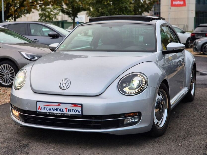 Beetle